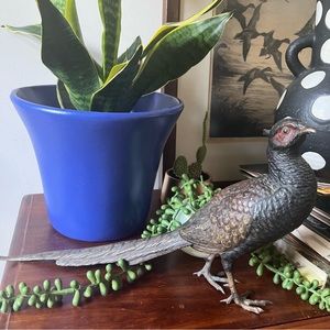 Large Vienna bronze pheasant sculpture Franz Bergman, 1880/1900 cold painted